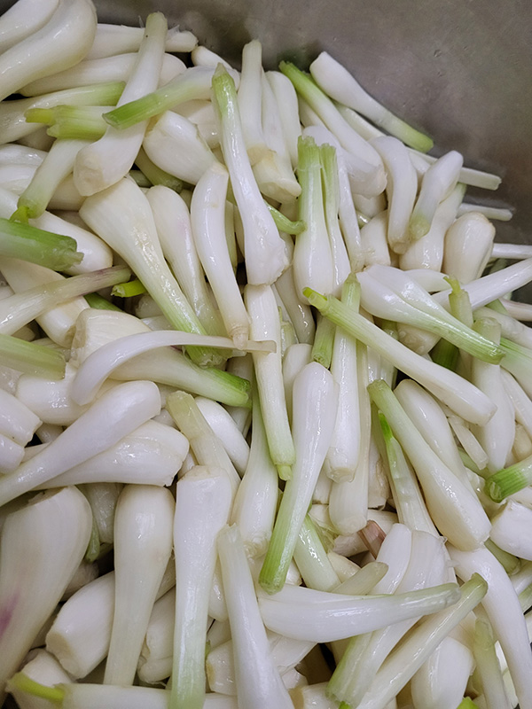 农家腌葱头