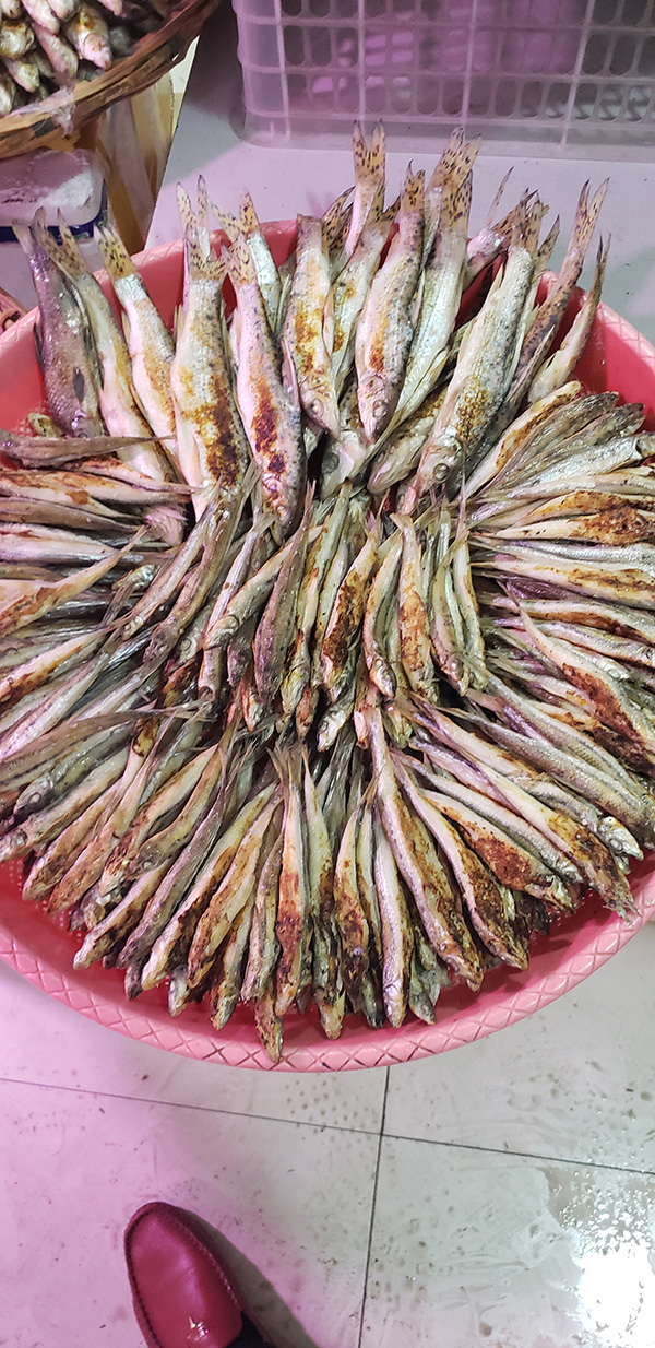 半干小活鱼